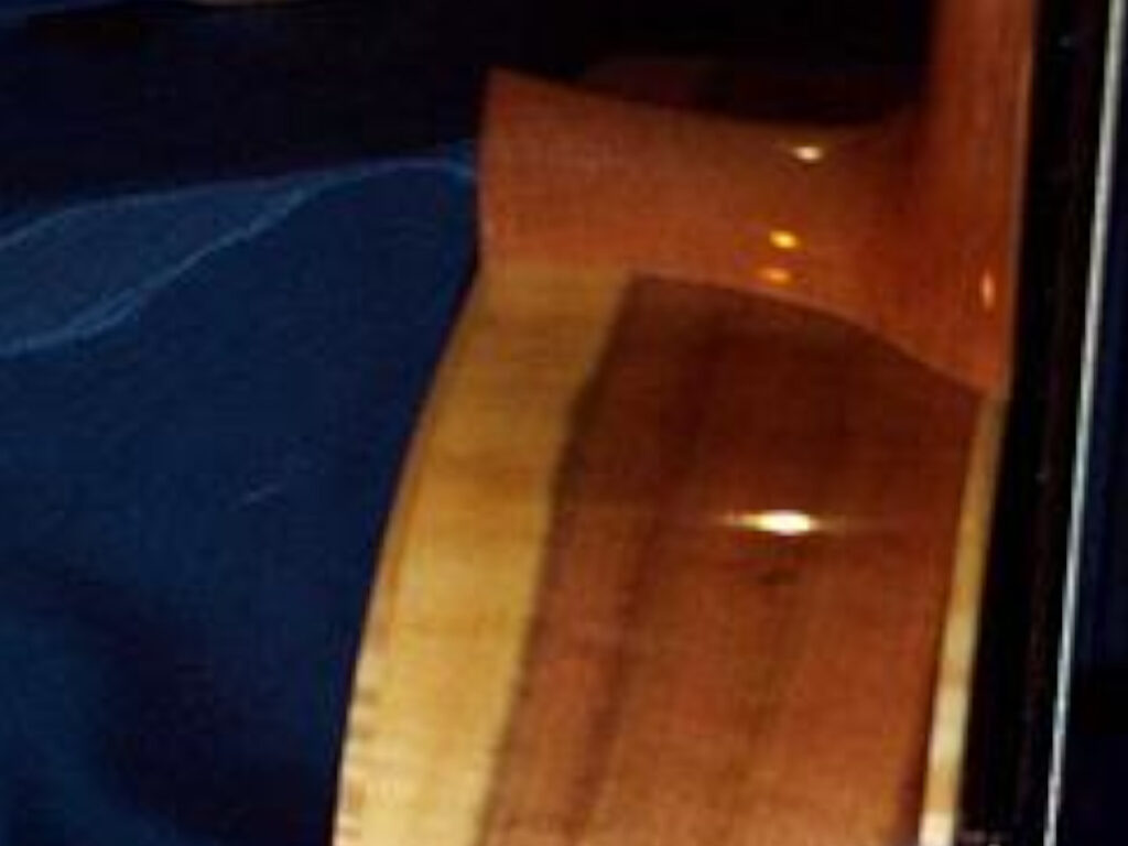Artist_Special_8_String_5
