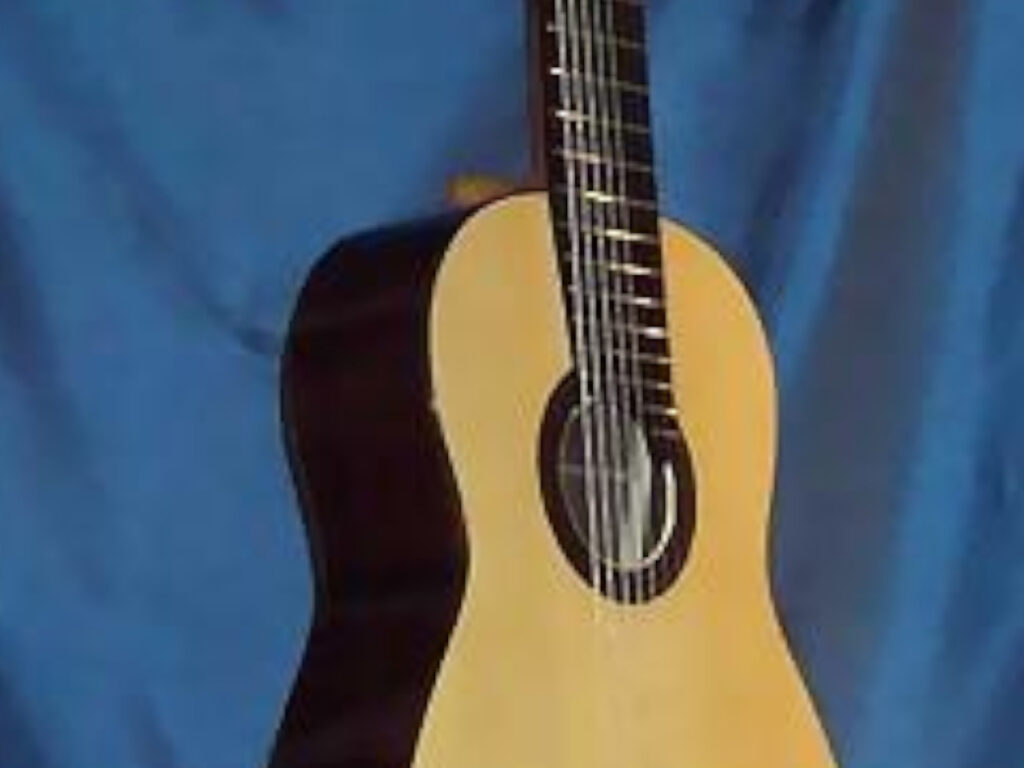Artist_Special_8_String_8